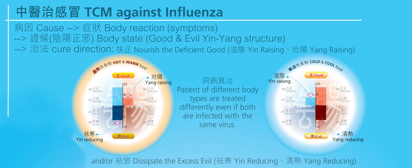 想要改善感冒流感病毒的不適要分清楚【寒熱虛實】之食物和中藥 The Cold-Hot Deficient-Excess treatments for Cold, Flu, and Virus-related symptoms